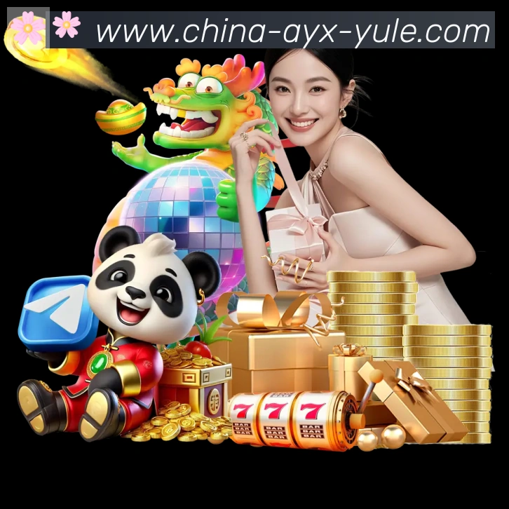 未来规划